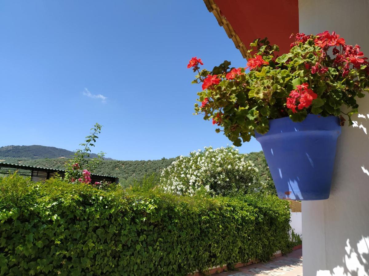 بييغو ذي كورذوبا Villa Frasquita المظهر الخارجي الصورة