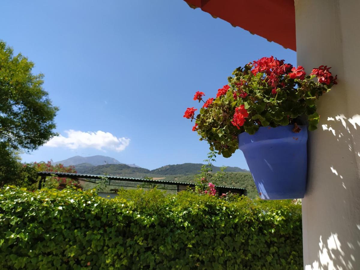 بييغو ذي كورذوبا Villa Frasquita المظهر الخارجي الصورة