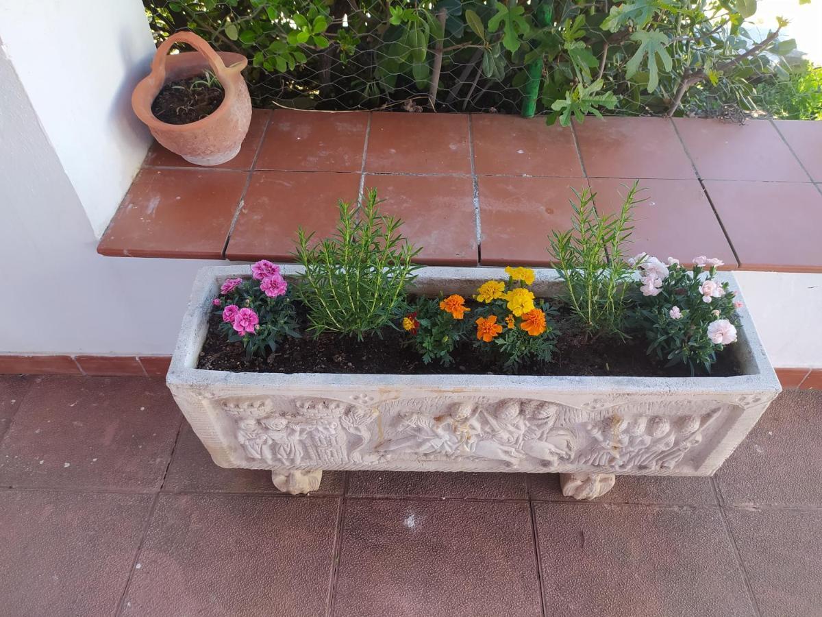 بييغو ذي كورذوبا Villa Frasquita المظهر الخارجي الصورة
