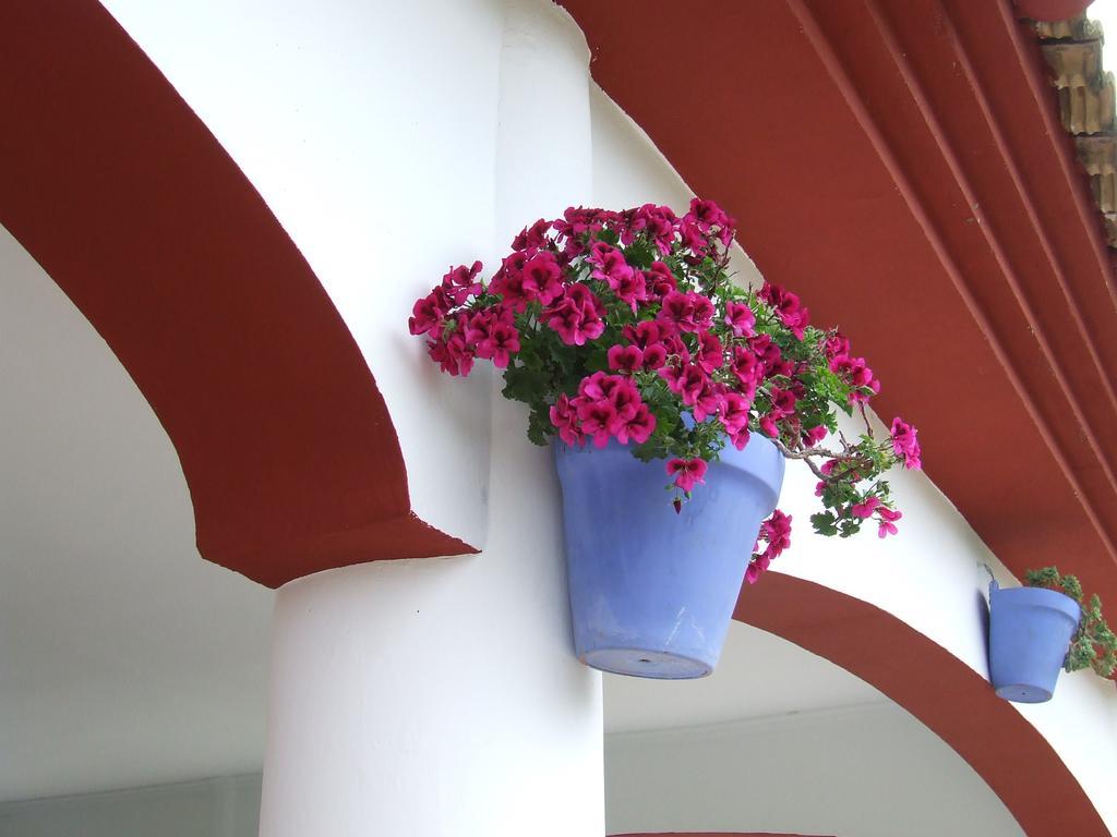 بييغو ذي كورذوبا Villa Frasquita المظهر الخارجي الصورة