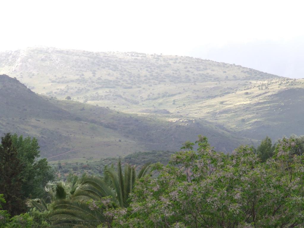 بييغو ذي كورذوبا Villa Frasquita المظهر الخارجي الصورة